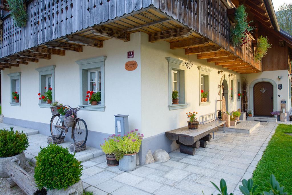 보히니 Rustic House 13 게스트하우스 외부 사진
